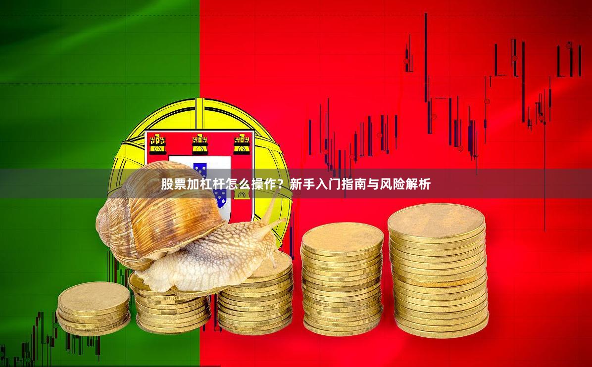 股票加杠杆怎么操作？新手入门指南与风险解析