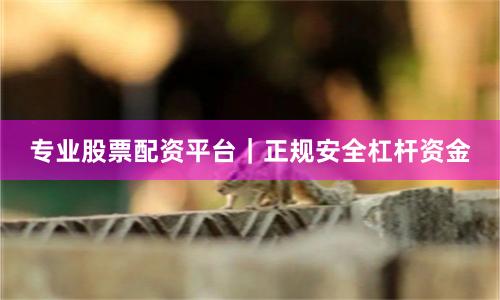 专业股票配资平台｜正规安全杠杆资金