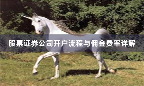股票证券公司开户流程与佣金费率详解