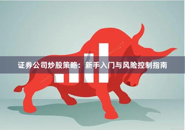证券公司炒股策略：新手入门与风险控制指南